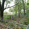 Крутицкая Алевтина Алексеевна