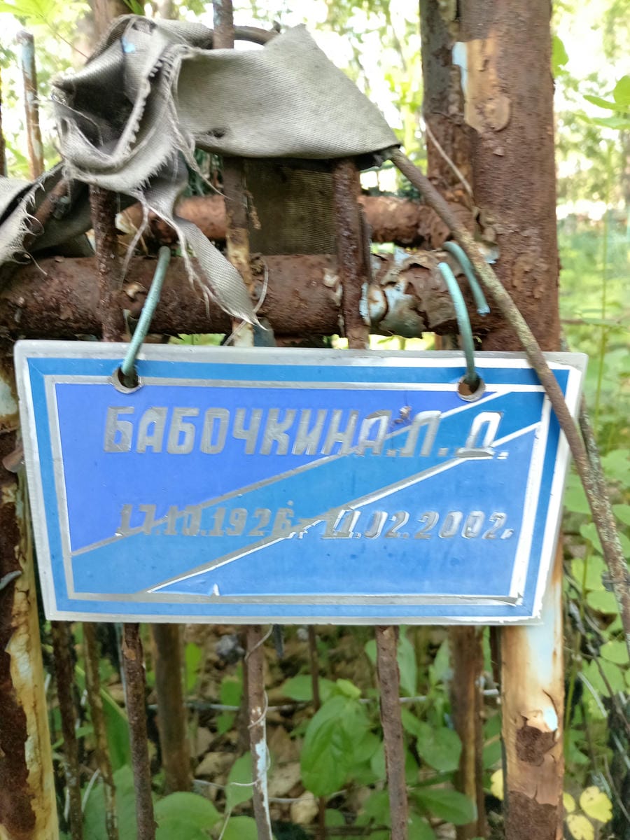 0f880d18-e8f2-4ef3-b72f-3c49dd7c2691 Бабочкина Л Д