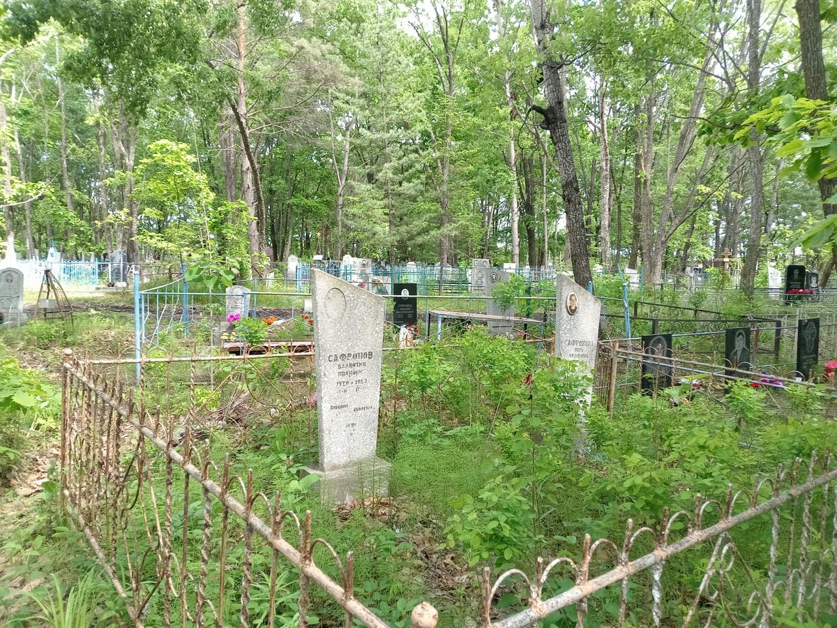 0fbed95c-9568-411e-b689-248e995e5614 Сафронова Вера Фёдоровна