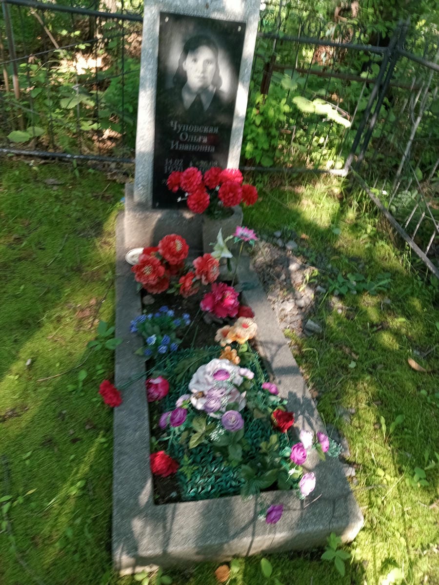 1041a42a-4978-4d27-92ac-33fd7922d2b8 Чуповская Ольга Ивановна