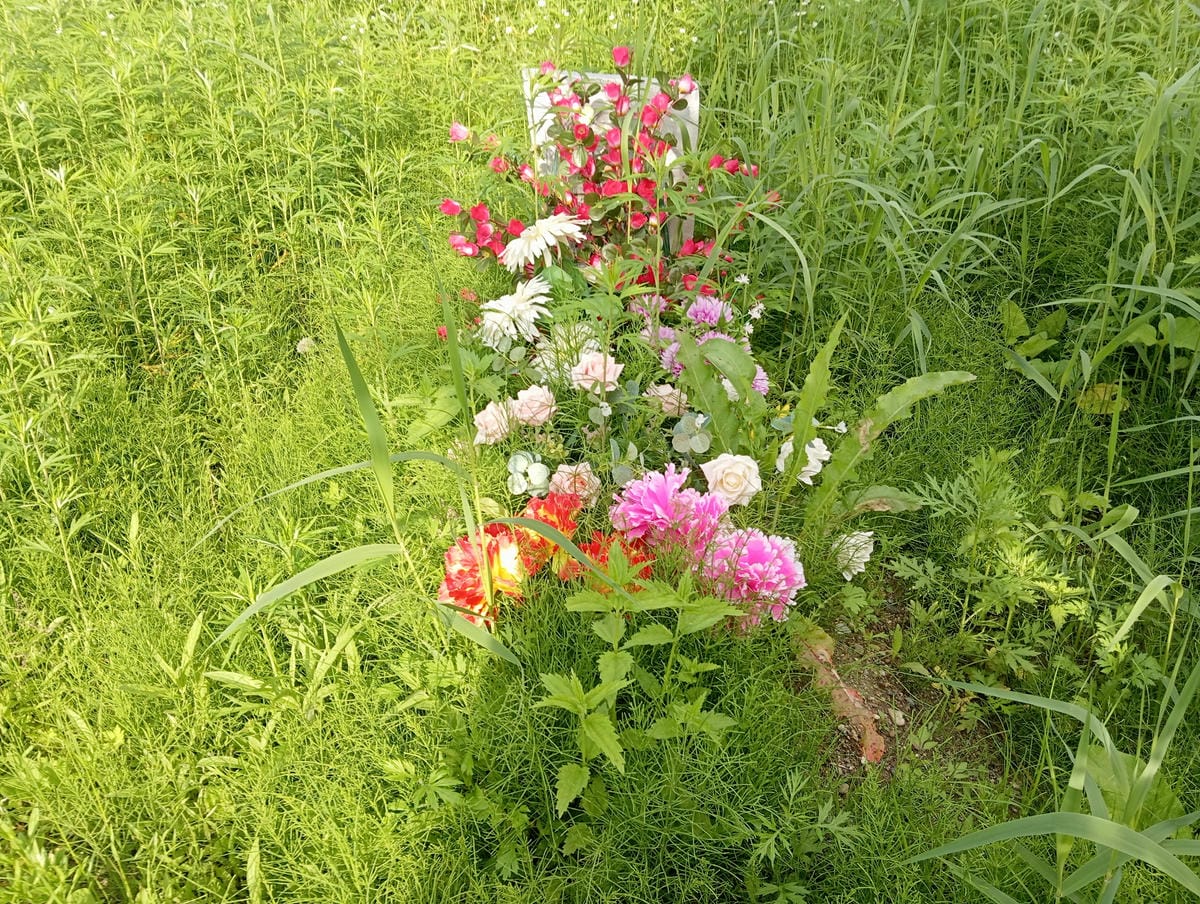 Краснова Галина Дмитриевна