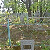 Москвина Людмила Борисовна