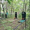 Коренева Софья Петровна