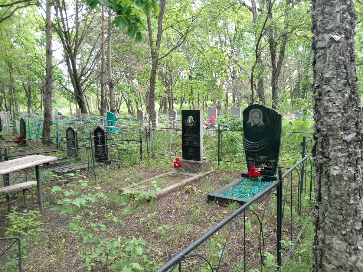 10e87286-5e36-4700-9301-8f20c0eac970 Коренева Софья Петровна