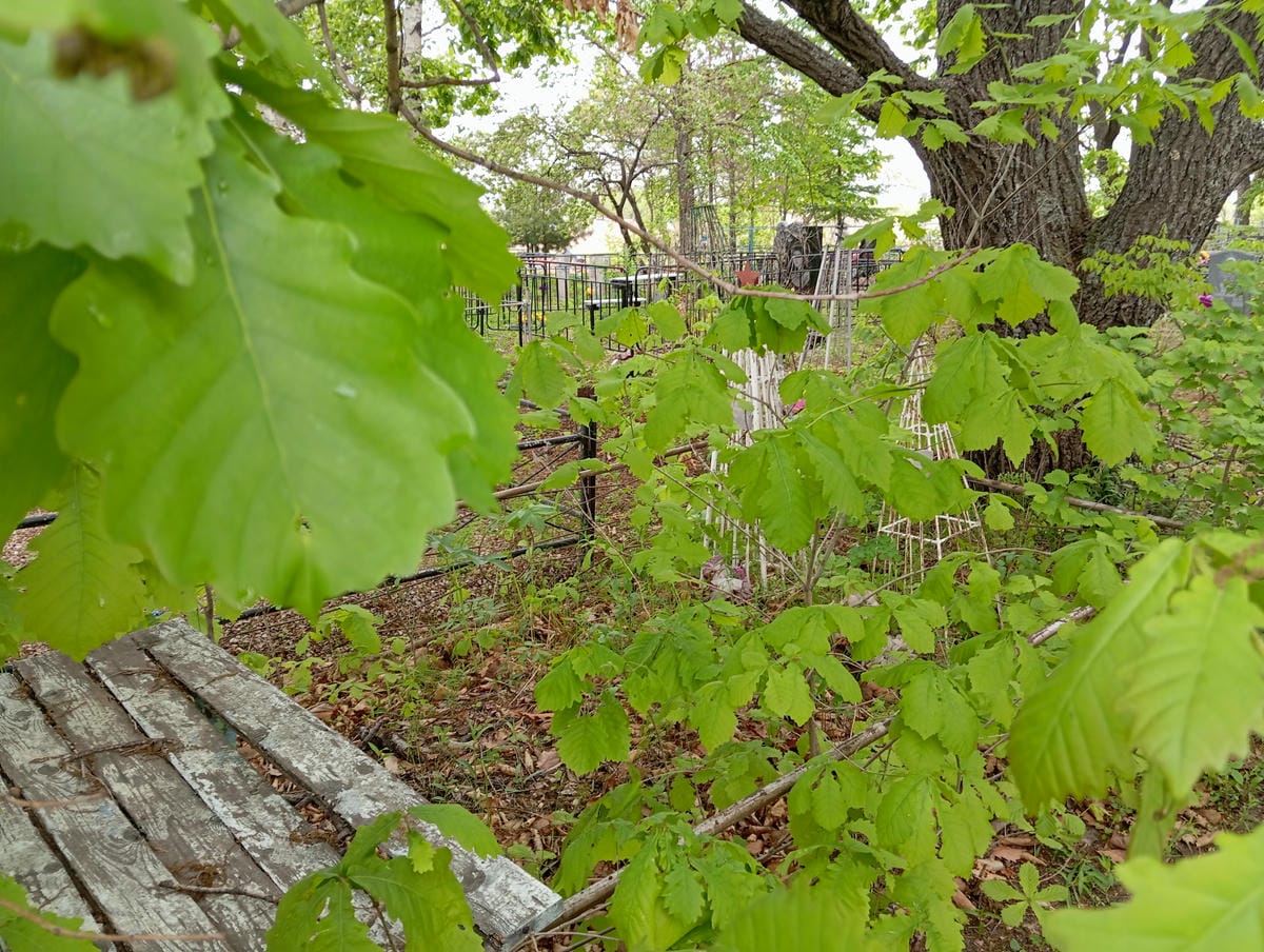 Науменко Роман Анатольевич