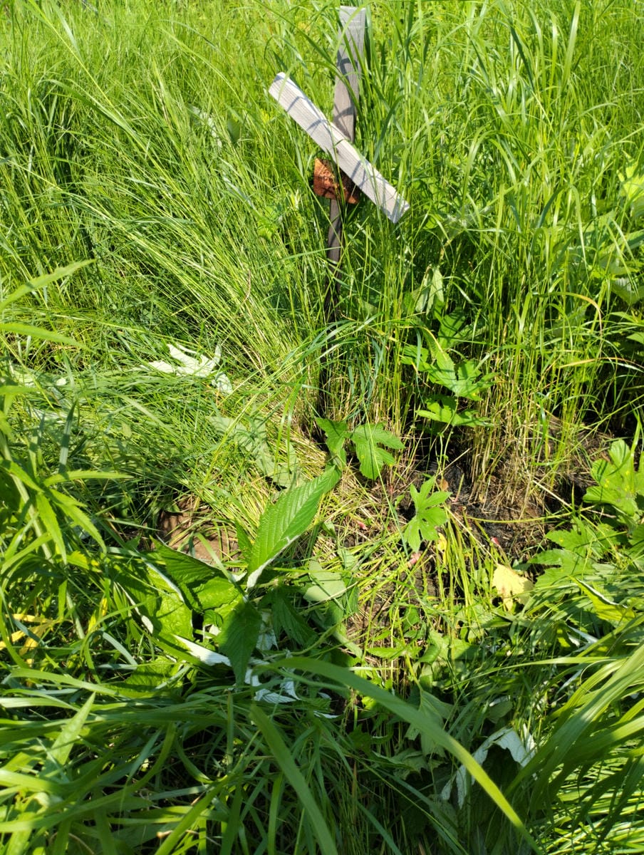 Неизвестно Неизвестно Неизвестно