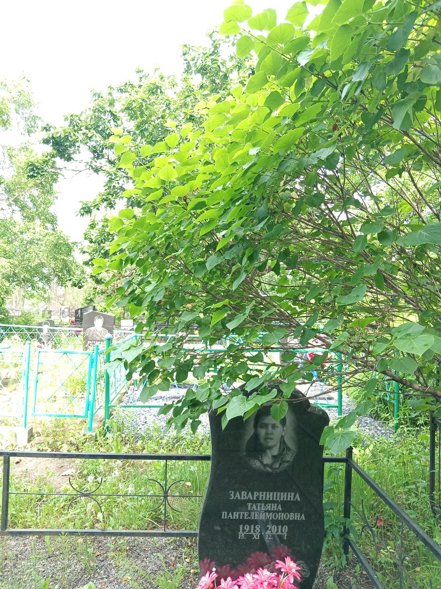 Заварницина Татьяна Пантелеймоновна