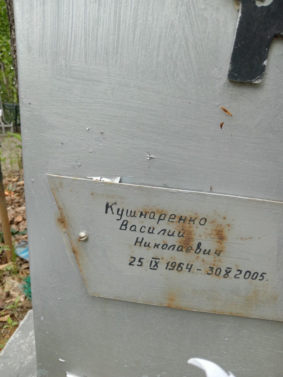 11b7b217-eba3-449a-9016-94fd5428a7c2 Кушнаренко Василий Николаевич