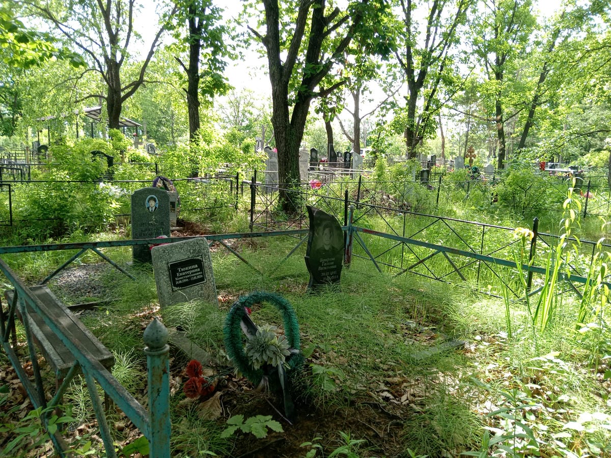 1234ad2b-88d7-4eca-957a-704b4e806179 Тюкина Екатерина Константиновна