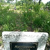Ярошевич Мария Николаевна