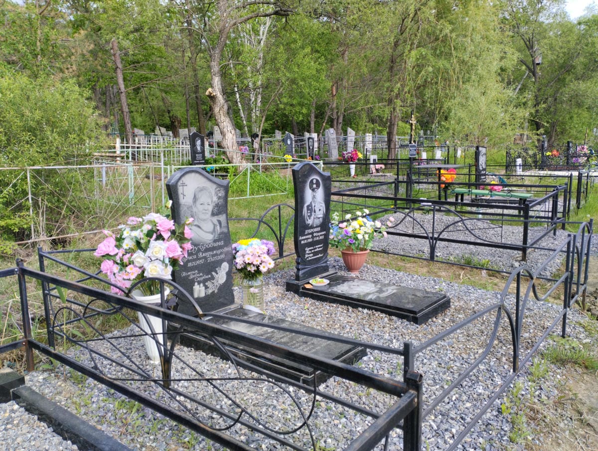 Дубровина Лариса Владимировна
