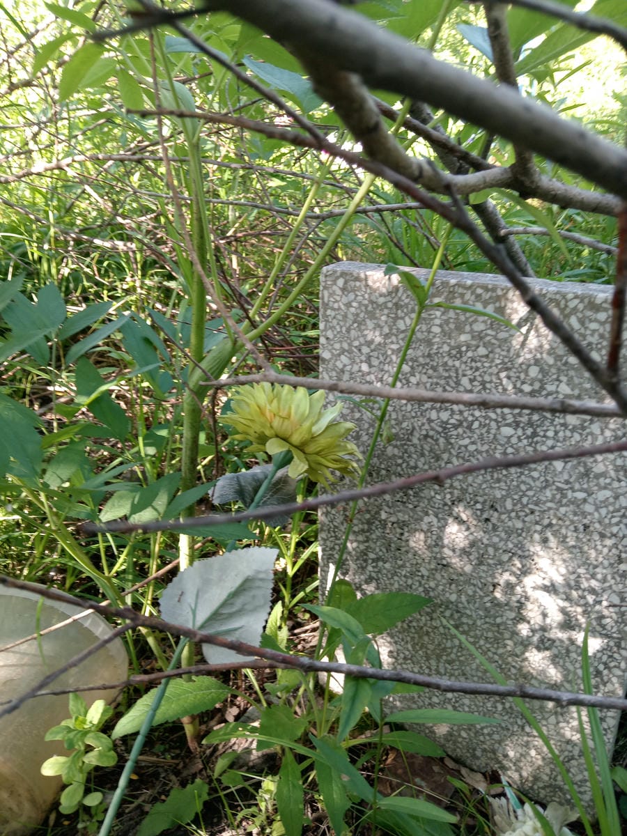 Неизвестно Неизвестно Неизвестно