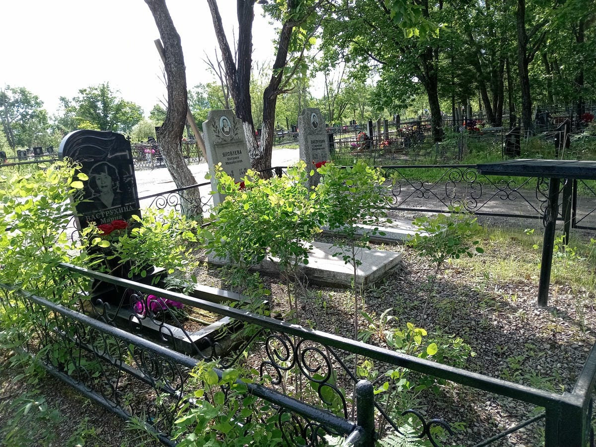 13873072-96b5-49df-bcdc-43e465508229 Ваструхин Валерий Владимирович