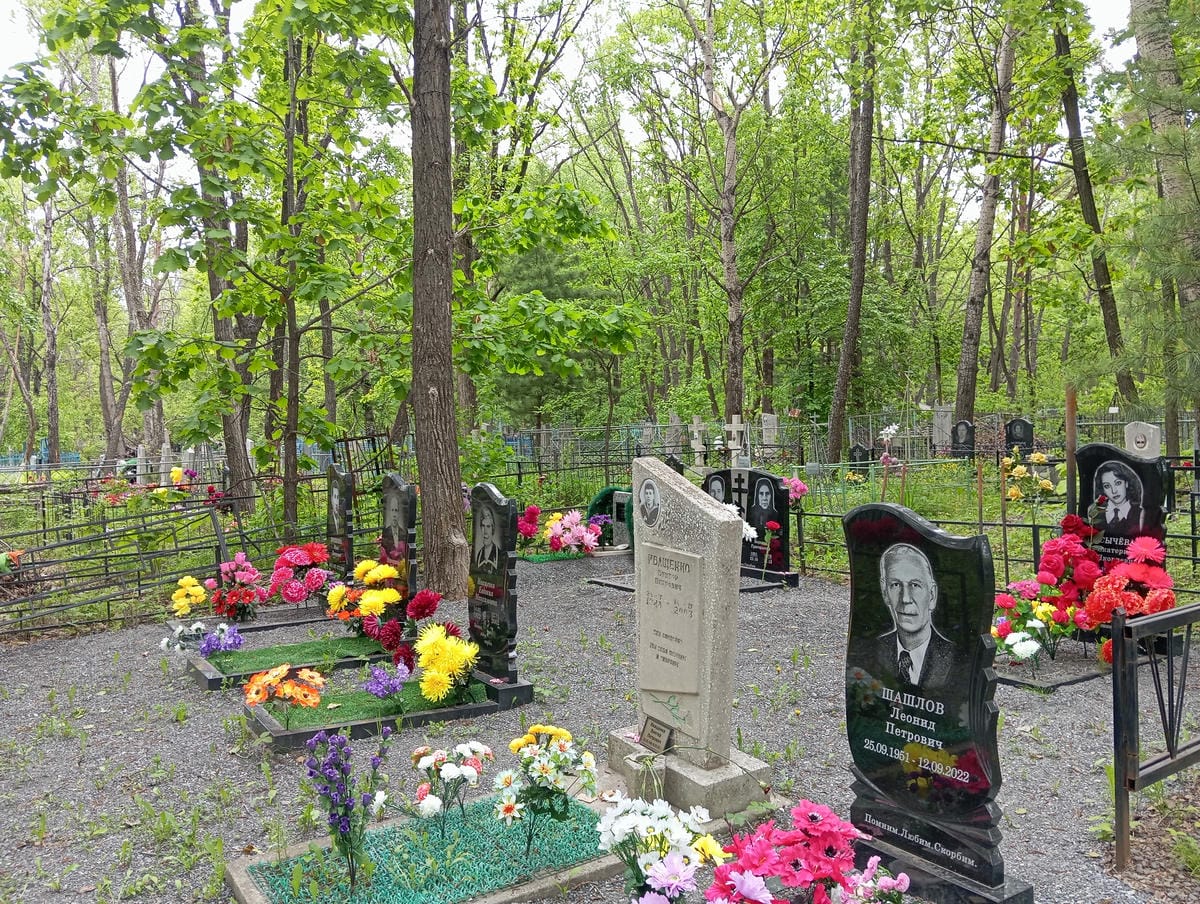 13955154-7a2f-427e-bbe2-b312d9c8d51b Иващенко Кирилл Иванович