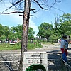 Лыкова Наталья Алексеевна