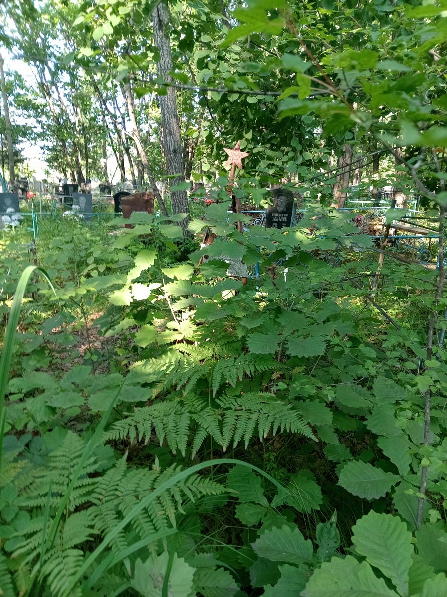 141f39b4-f7ae-4bbe-8ead-3100f0a8e309 Неизвестно Неизвестно Неизвестно