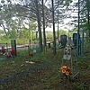 Полищук Дмитрий Карпович