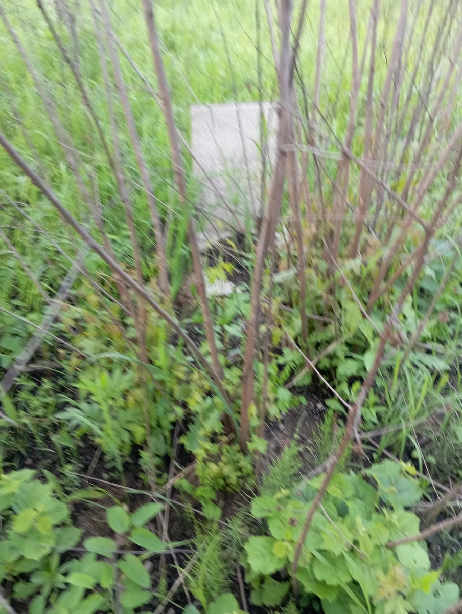 Гаврилкина Зинаида Александровна