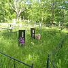 Дружинина Галина Леонидовна