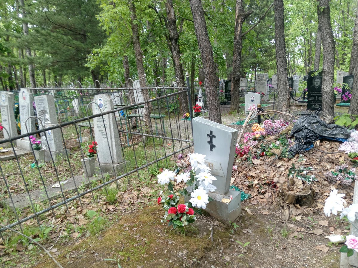 151c52da-fd6f-49b1-96d8-58797cc11c3e Кушнаренко Василий Николаевич