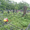 Трубицын Данил Романович