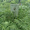 Цветков Николай Александрович