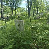 Цветков Николай Александрович