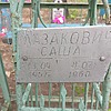 Лазакович Саша Неизвестно