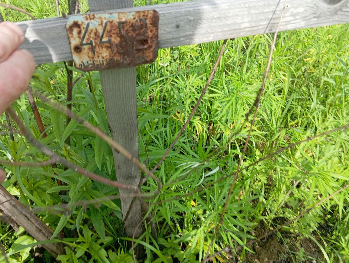 Неизвестно Неизвестно Неизвестно