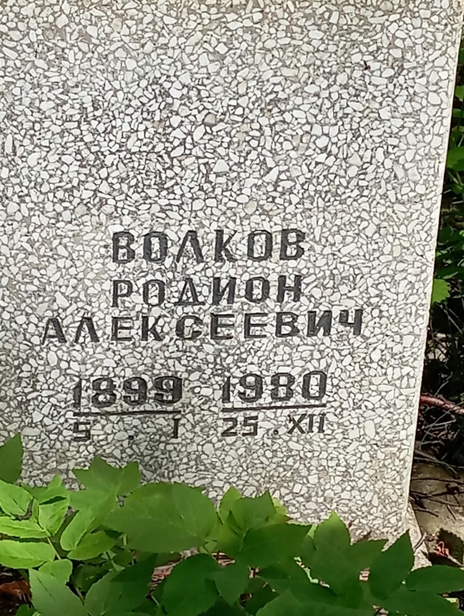 Волков Родион Алексеевич