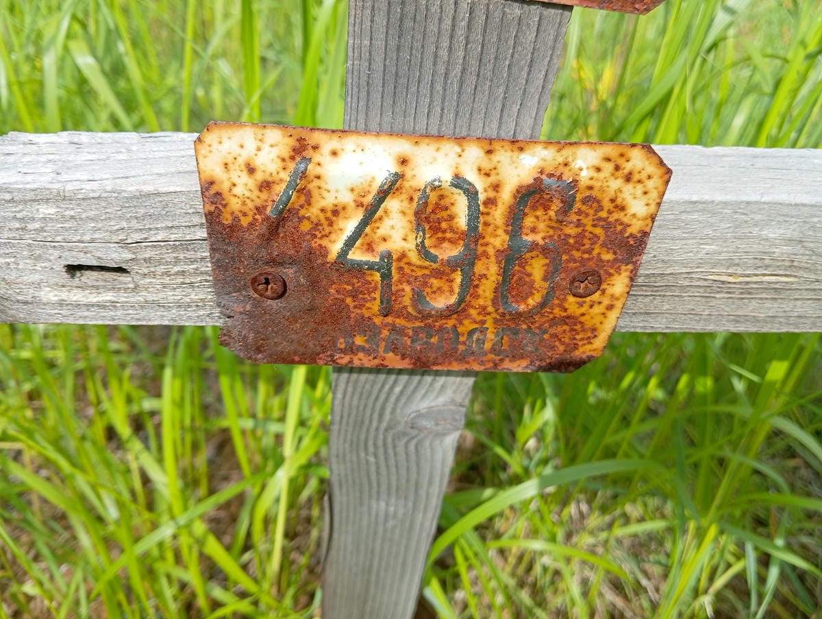 176363c7-d4d0-4af0-928c-6100e39e4f87 Неизвестно Неизвестно Неизвестно