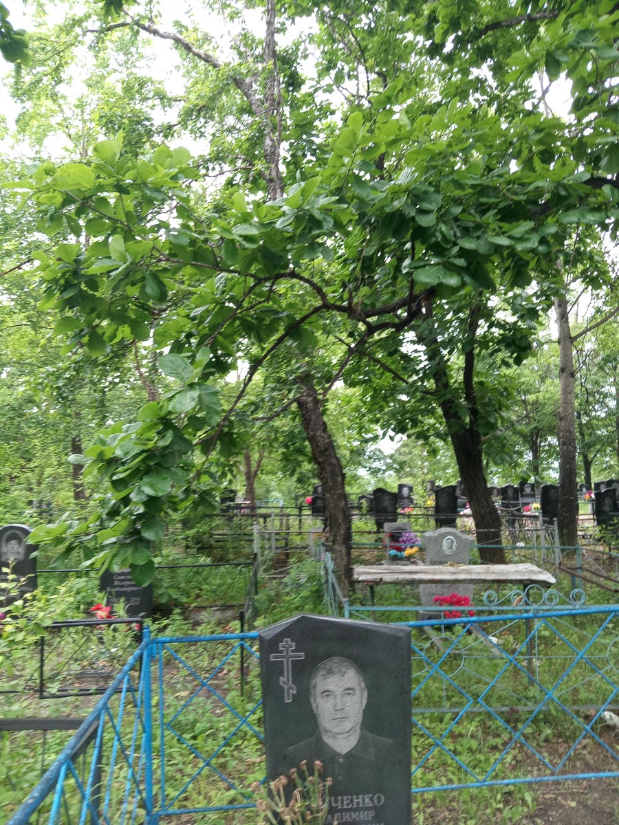 Бойченко Владимир Михайлович