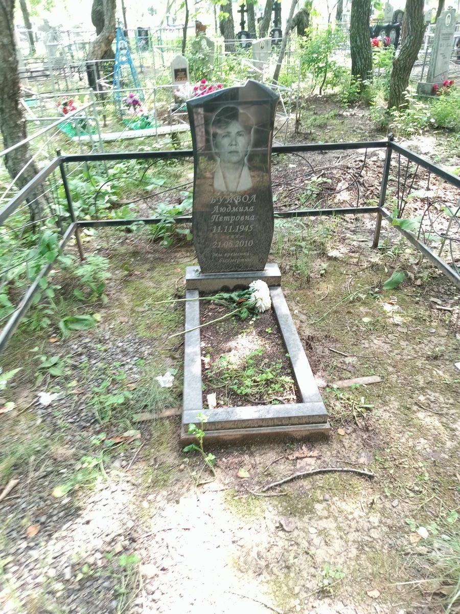 1797a597-d9a5-48ff-bbfd-66d1ec27b6ed Буйвол Людмила Петровна