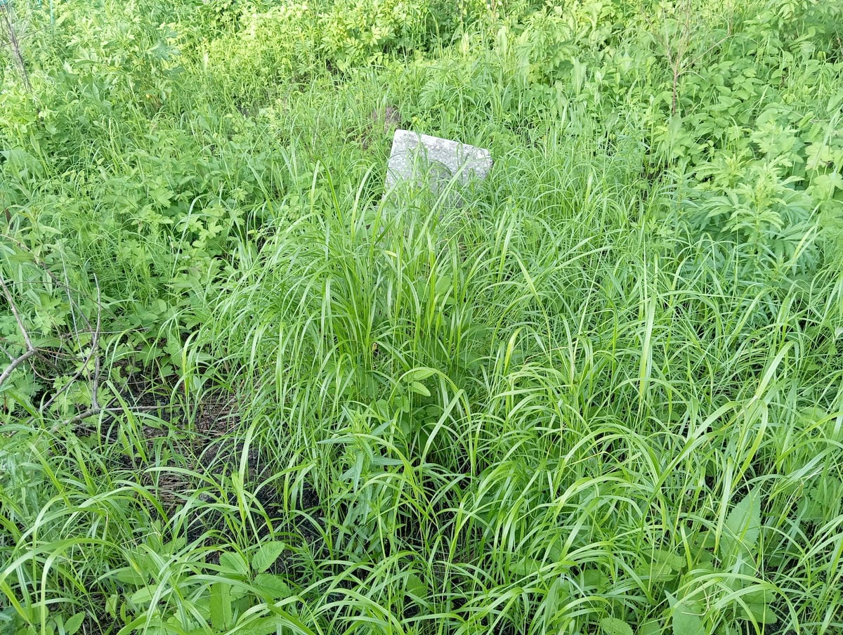 Неизвестно Неизвестно Неизвестно