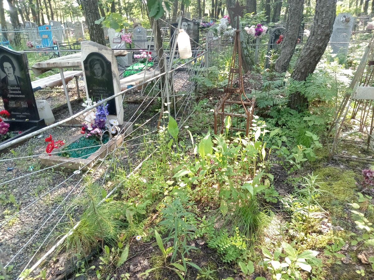 17e2661f-8ba9-479d-aca7-450a36144f63 Неизвестно Неизвестно Неизвестно