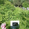 Мазур Александр Владимирович