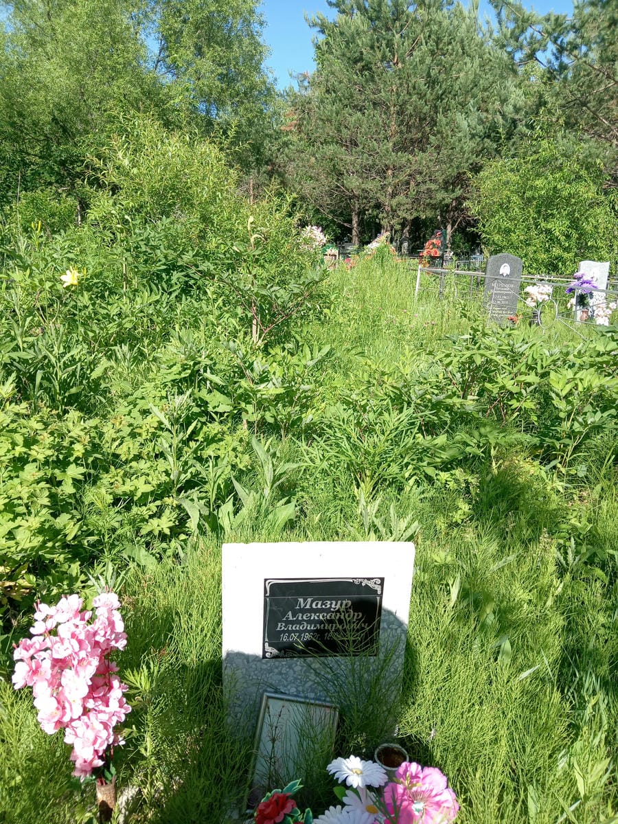 187407c2-2a4d-4034-8072-63bf30cd5795 Мазур Александр Владимирович