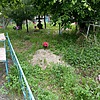 Неизвестно Неизвестно Неизвестно