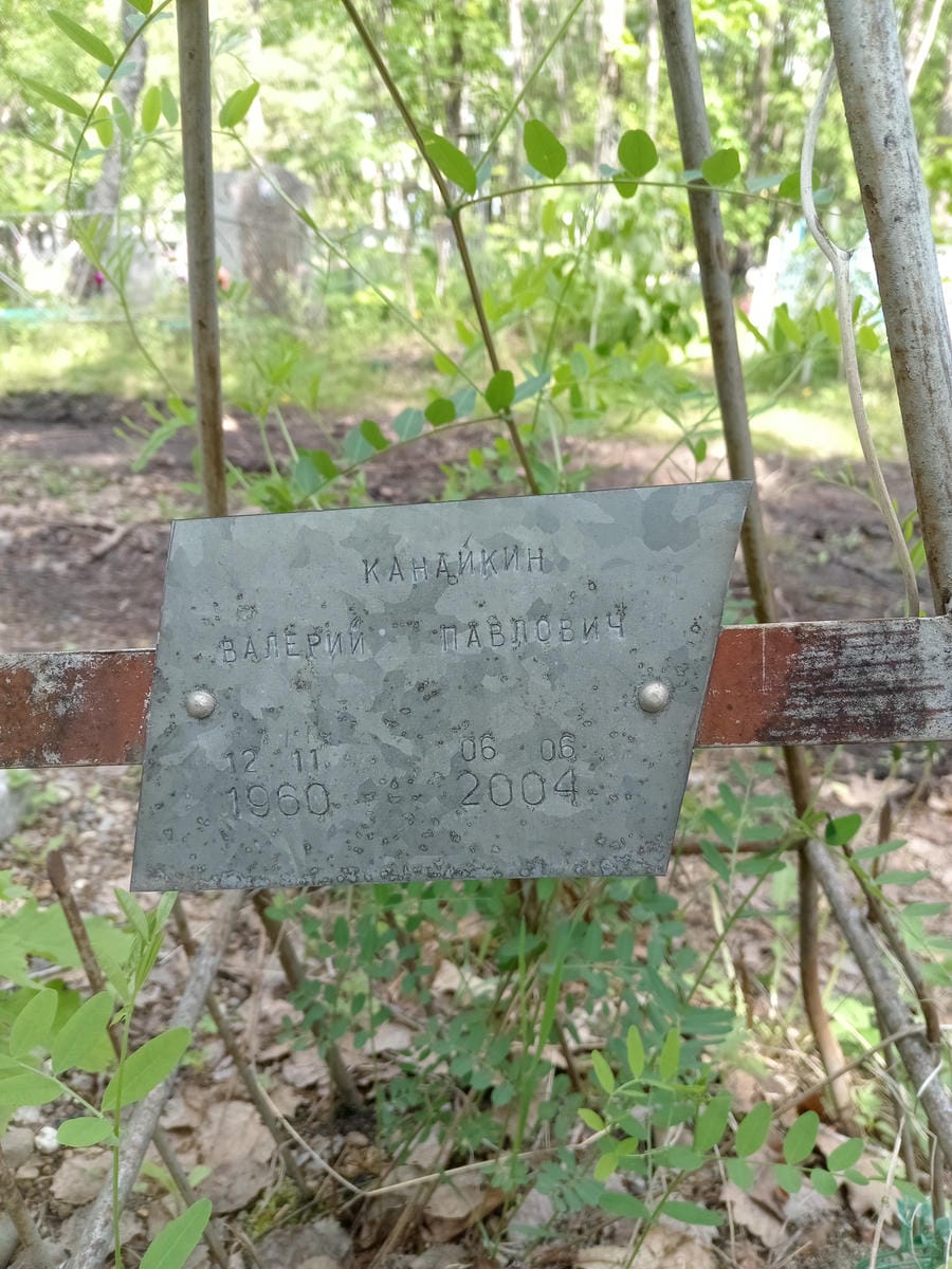 1956f3c3-a94f-4346-9c0d-282151d42b55 Канайкин Валерий Павлович