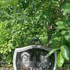 Корф Николай Петрович