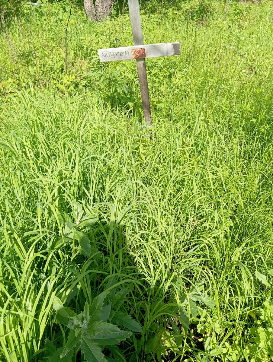 Андреев Неизвестно Неизвестно