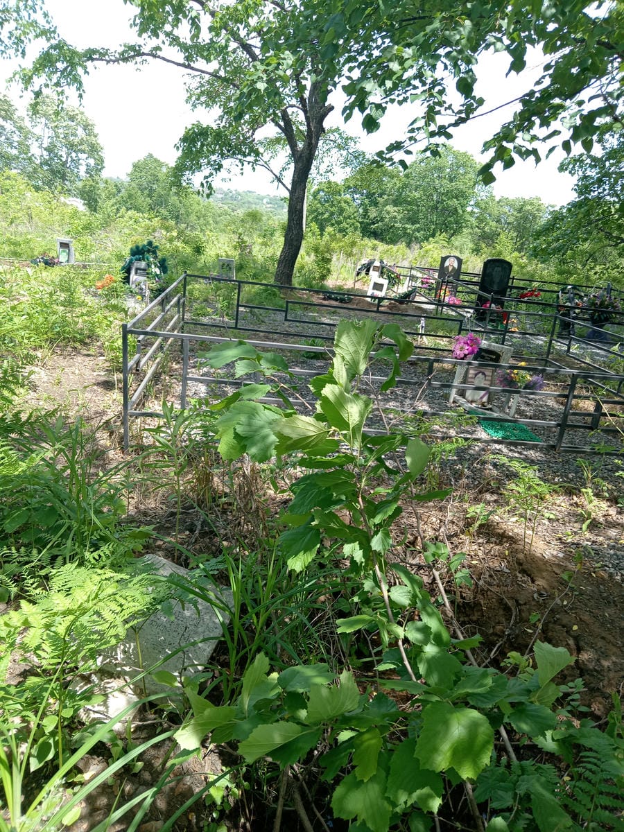 19b9165c-2ee7-4fca-8cf0-6e72977f020e Какодей Александр Дмитриевич