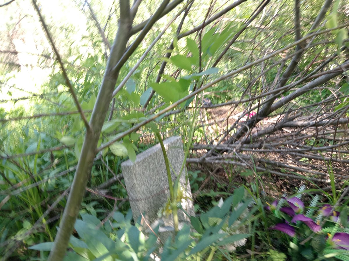 Неизвестно Неизвестно Неизвестно