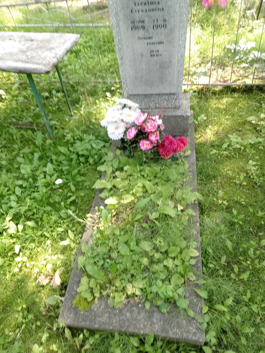 19cff0f3-83f2-45b7-aa7f-28610b6061d4 Полусмак Харитина Стефановна