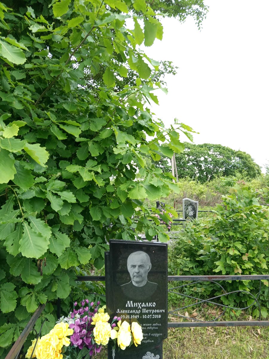 Михалко Александр Петрович