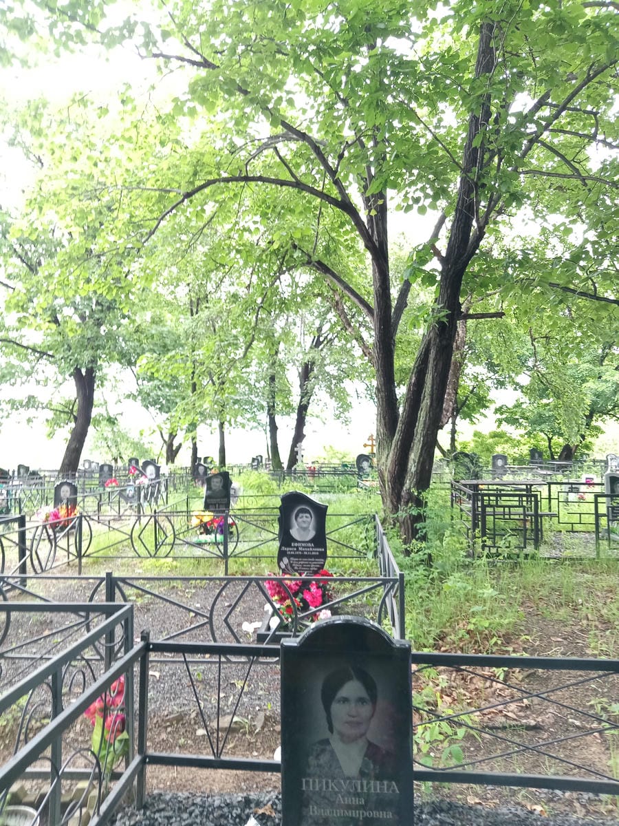 1a05b947-4f63-46ad-a8ac-4a205b623af5 Пикулина Анна Владимировна
