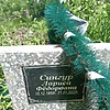 Сингур Лариса Федоровна