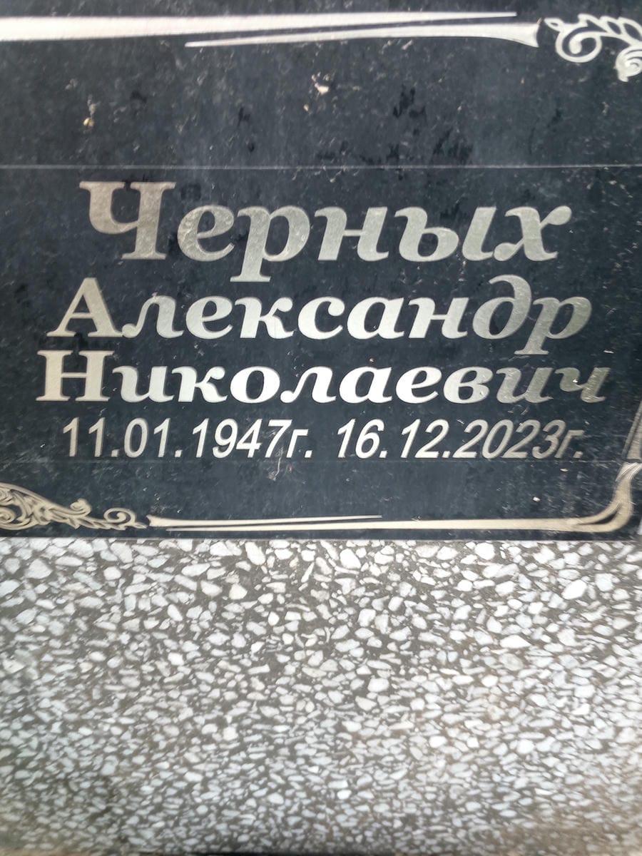 1a927f6a-f4f6-4cf5-aba4-4611b82d6488 Черных Александр Николаевич