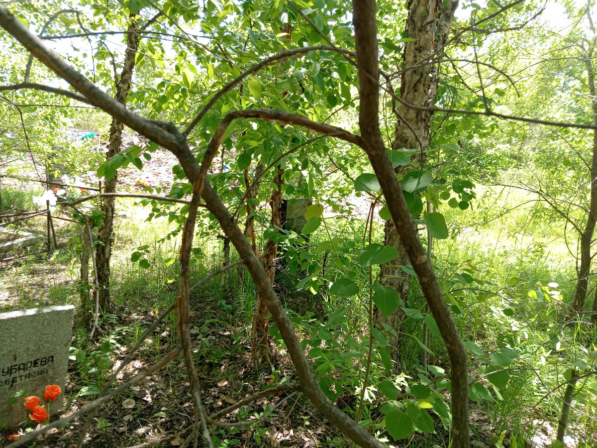 Мищенко Виктор Савельевич