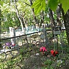 Сингур Клавдия Фёдоровна